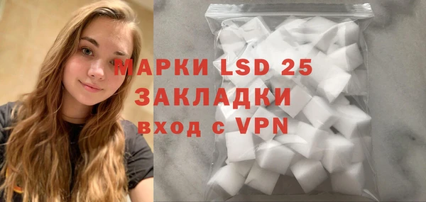 спайс Богданович