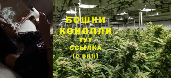 спайс Богданович