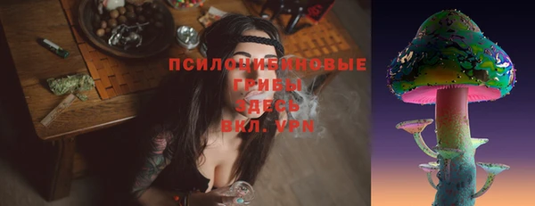 прущая мука Бородино