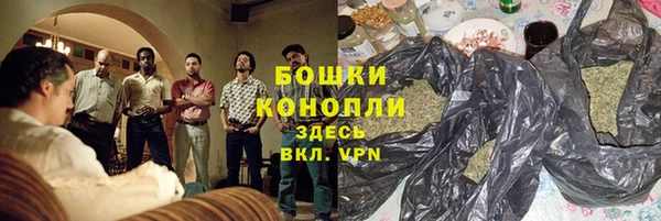 спайс Богданович